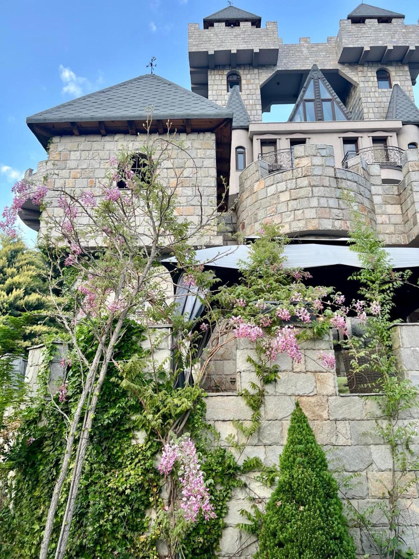 Royal Valentina Castle Bed & Breakfast Ognyanovo  Exterior photo