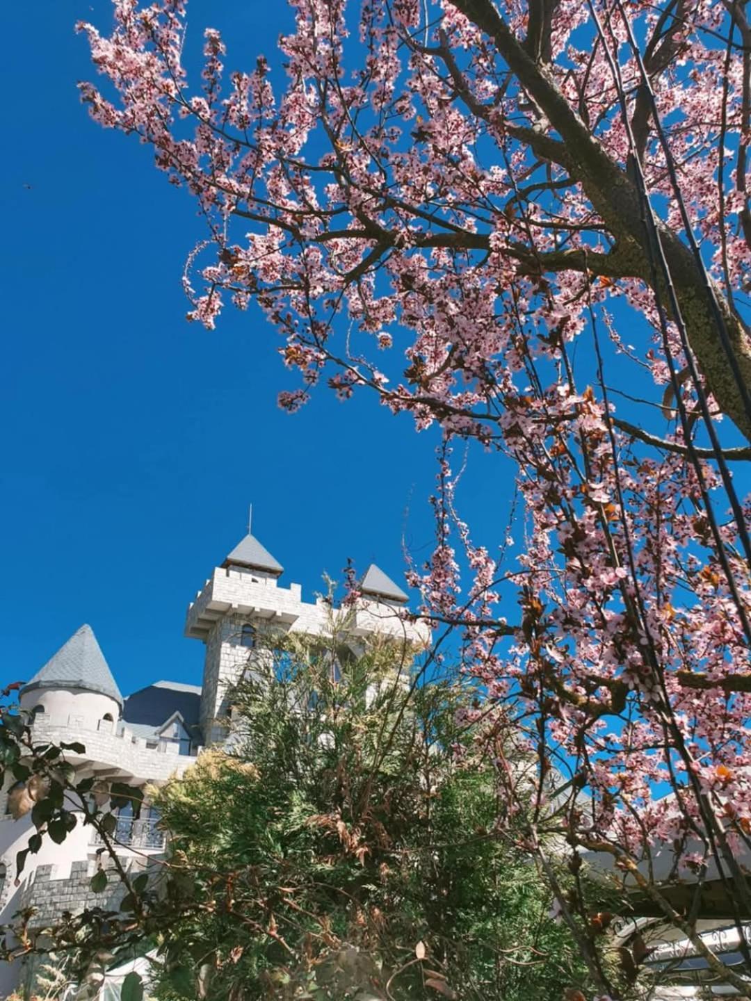 Royal Valentina Castle Bed & Breakfast Ognyanovo  Exterior photo